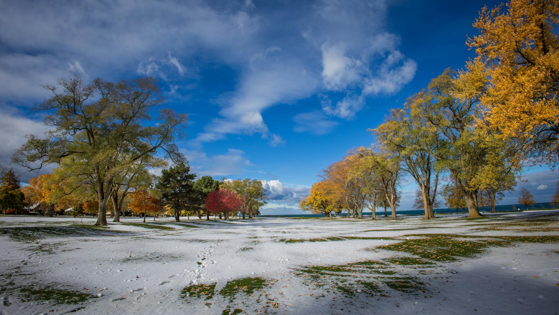 vibrant autumn park with early snowfall