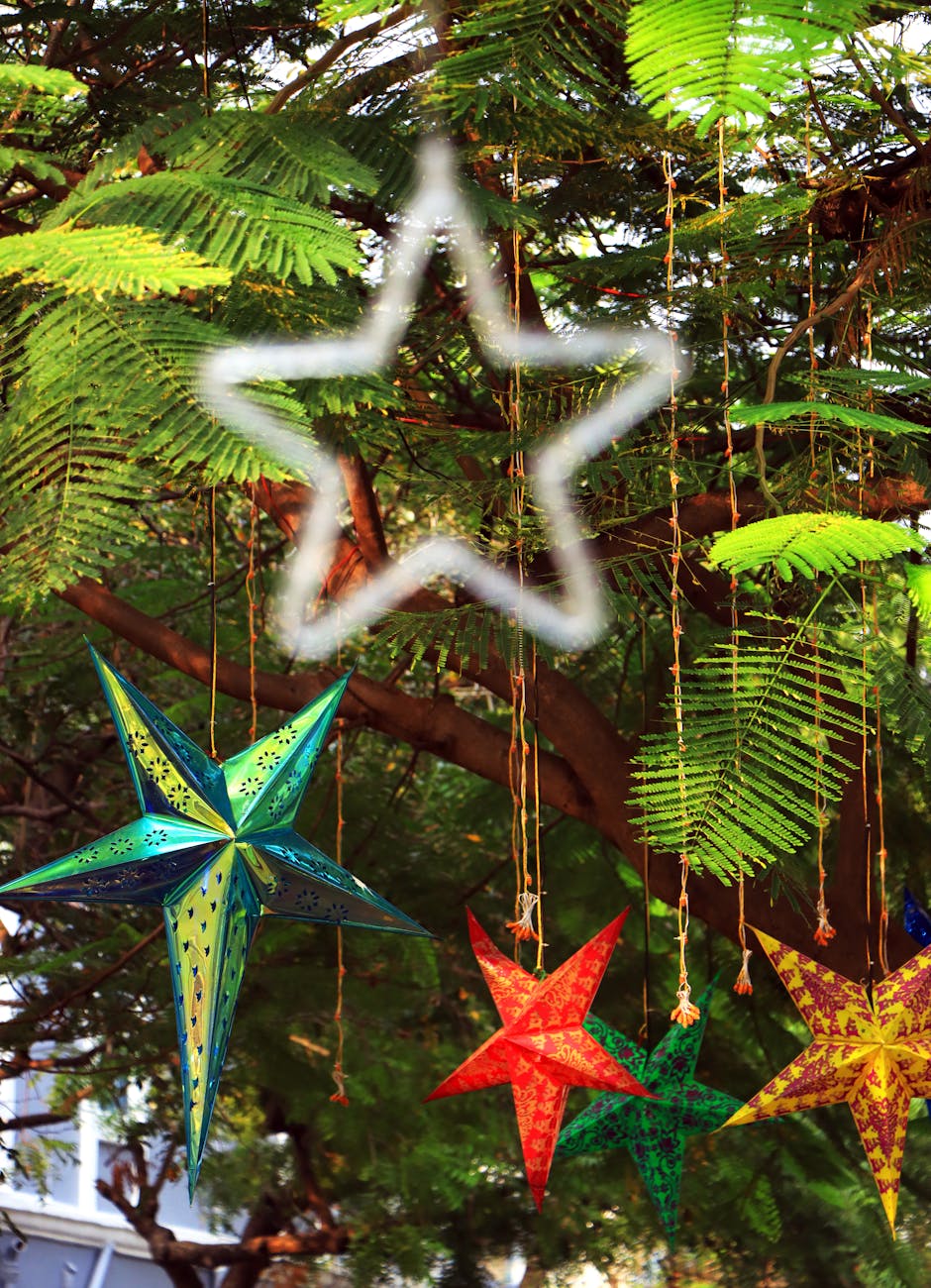 colorful hanging stars in lush greenery