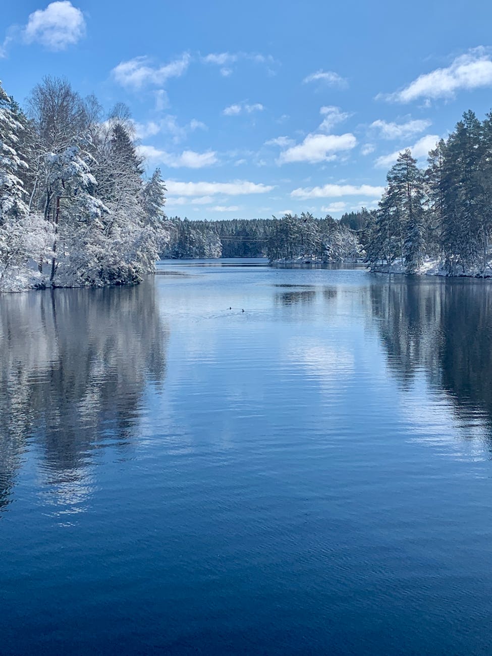 peaceful snowy lake in swedish springtime